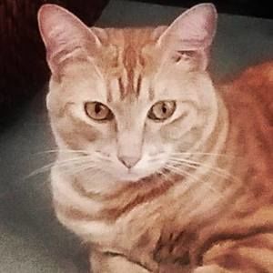 Meet your Posher, Dana